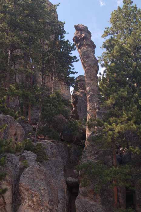 Black Hills scenic drive